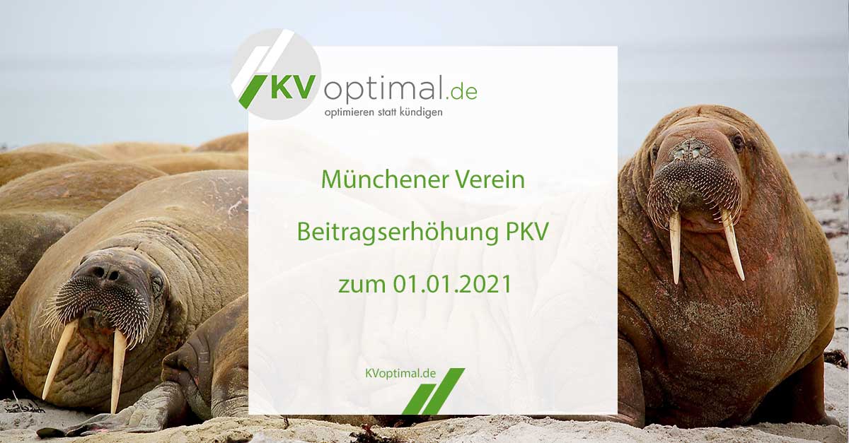 Münchener Verein kündigt Beitragserhöhung PKV zum 01.01.2021