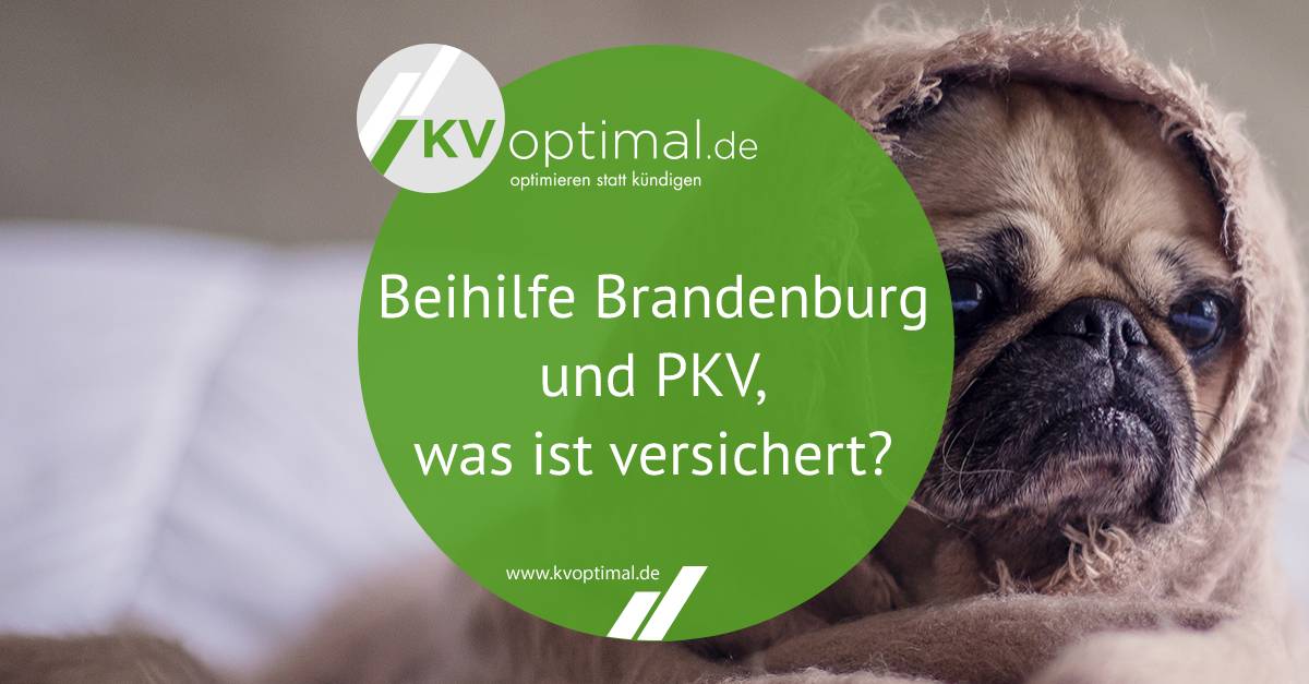 Beihilfe Brandenburg und PKV, was ist versichert?